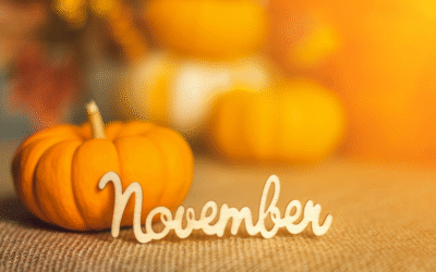 Protected: Fit Snack Vol 7 2025